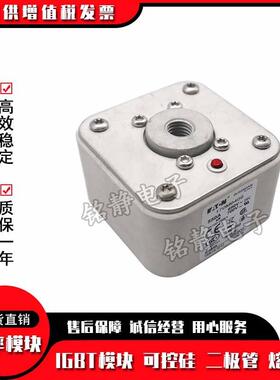 170M6408 170M6409 170M6410 170M6411巴斯曼熔断器 170M6412