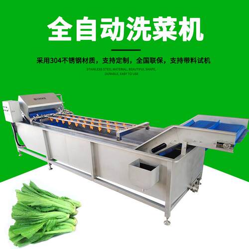 全自动洗菜机JY-5200整颗白菜青菜清洗设备喷淋输送式洗菜机