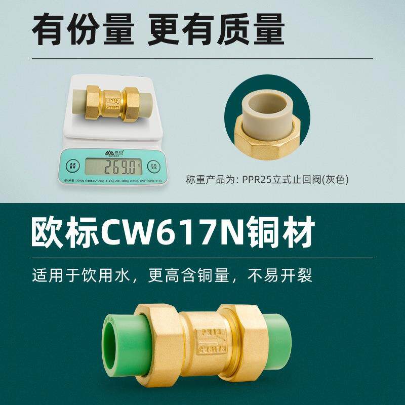 25ppr止回阀单向阀热熔水管表配件32活接4 6分PE40卧立式逆止新款
