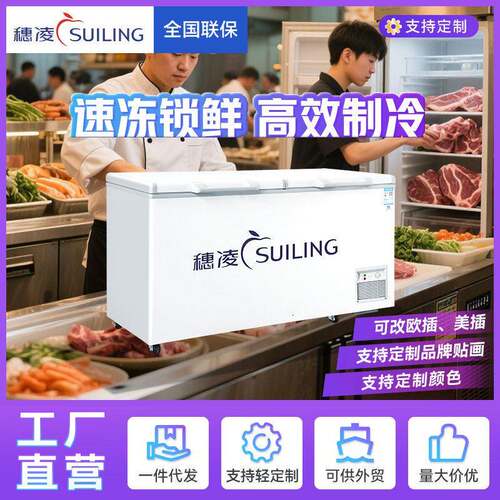 穗凌现货冰柜商用冷冻柜温商业用可冷冻冷藏卧式冰箱源头工厂