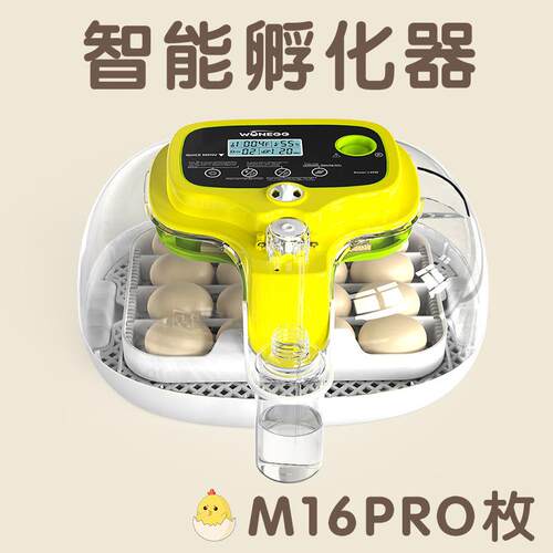 16枚鸡蛋孵蛋器小鸡孵化养殖设备孵化器鹌鹑孵化机家禽恒温
