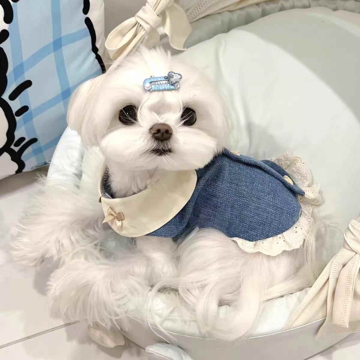 宠物猫咪狗狗春夏牛仔幼稚园翻领刺绣花边裙狗狗宠物衣服马尔济斯