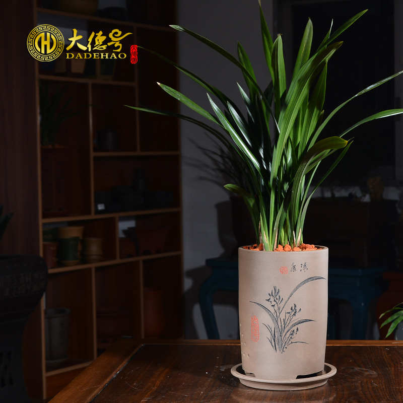 紫砂兰花盆宜兴刻绘吊兰盆景室内盆栽虎皮兰盆君子兰陶瓷花盆