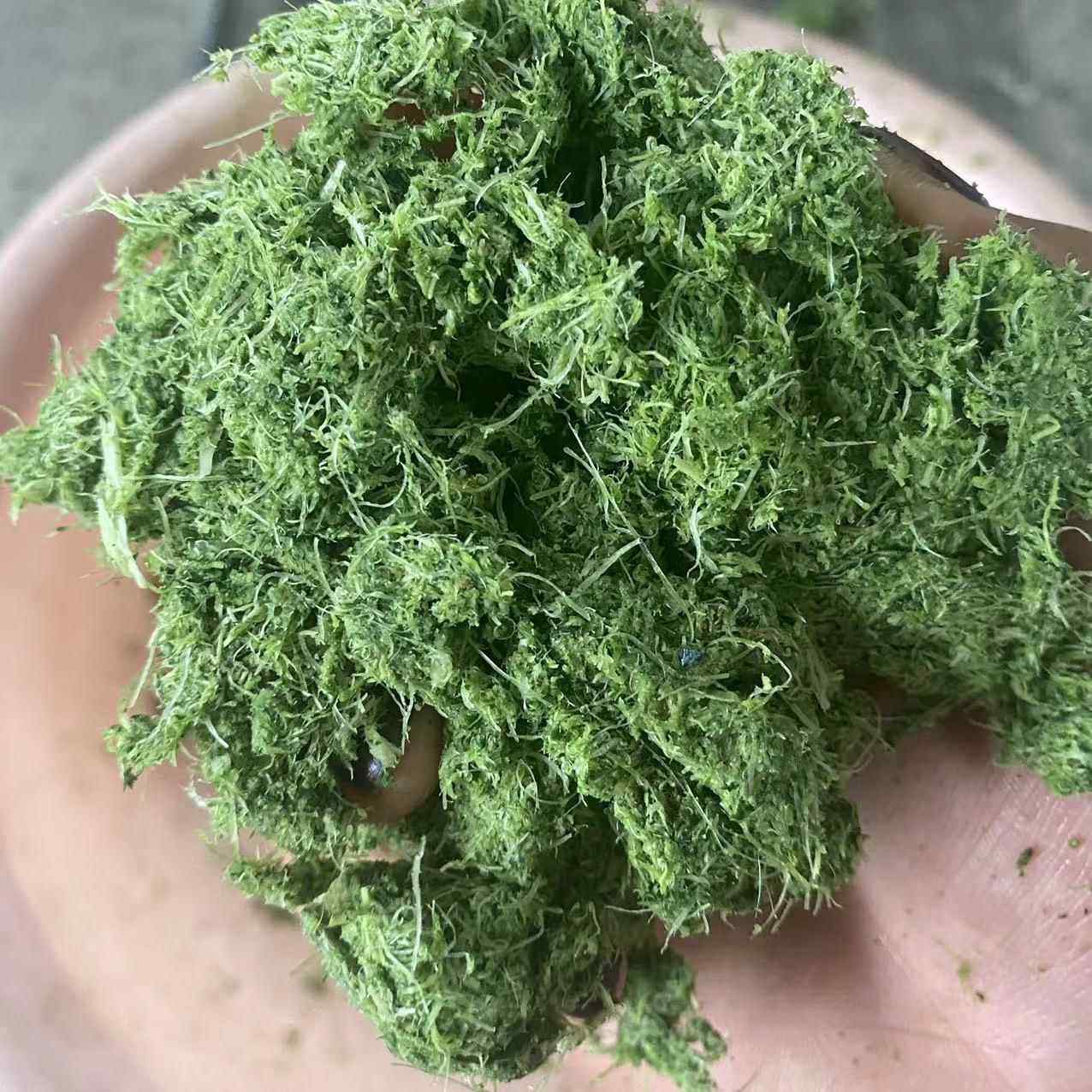 无核浆果榨汁分离机不锈钢螺旋破碎打汁机生产电动螺旋压汁机厂