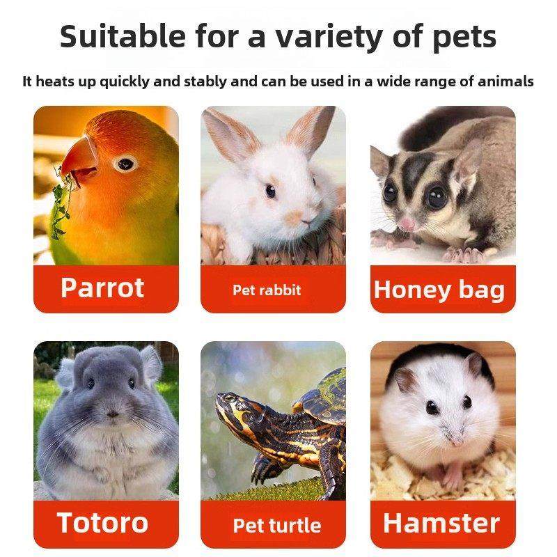 取暖器鹦鹉保温灯暖风机宠物专用鸟笼玄凤芦丁鸡恒温加热过冬神器,宠物/宠物食品及用品,鸟禽其他,淘宝优惠券,粉丝福利购,淘宝优惠卷