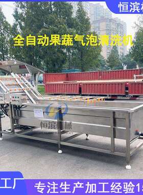 沙棘果气泡清洗机猕猴桃青梅杨梅清洗机压喷淋蔬菜浆果清洗机