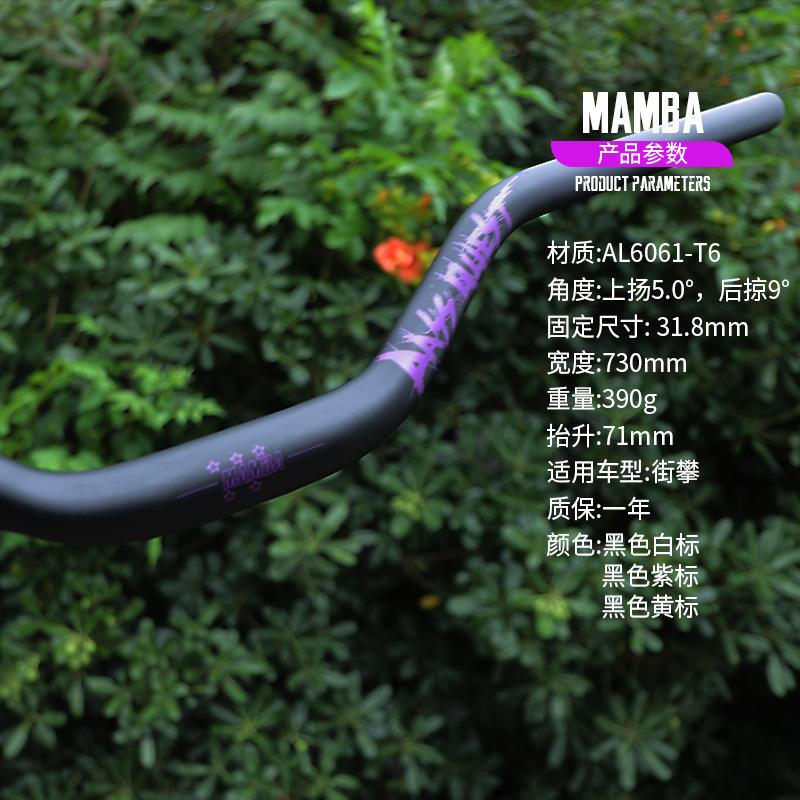 PASS QUEST MAMBA山地车街攀燕把 大抬升 71mm 街车 攀爬高强度ok