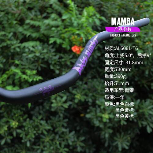 PASS QUEST MAMBA山地车街攀燕把 大抬升 71mm 街车 攀爬高强度ok