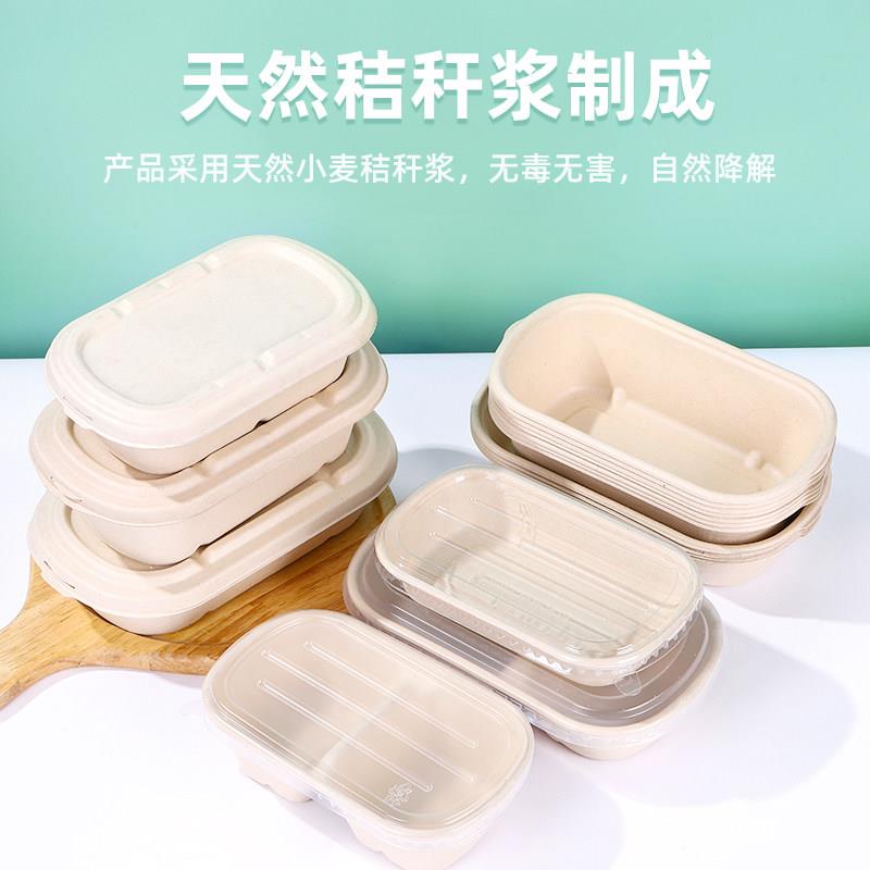 一次性轻食餐盒沙拉便当盒纸浆饭盒寿司外送打包盒甘蔗浆野餐盒子