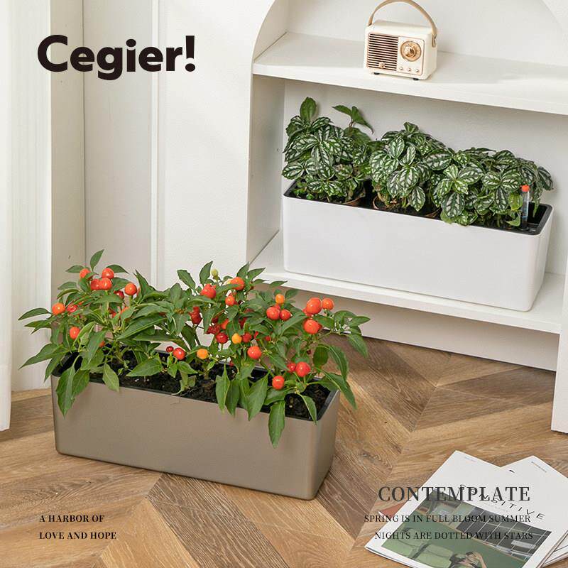 Cegier.长方形大号懒人自吸水花盆阳台窗台种菜盆高颜值 | 谛念