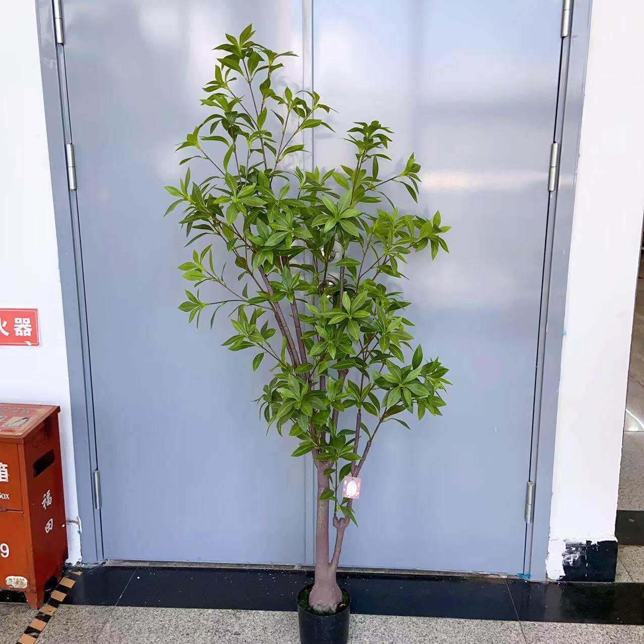 仿真绿植 马醉木落地绿色植物盆栽 室内客厅 福禄寿盆景摆件