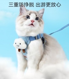 遛猫牵引绳小猫猫咪猫绳子，防挣脱猫绳背心，式溜猫绳子猫咪外出网红