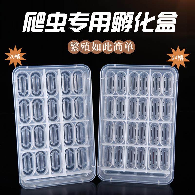 爬宠守宫蛋孵化包邮宠物蛇垫材蛇蛋蜥蜴孵化盒保湿透气乌龟孵化箱,宠物/宠物食品及用品,爬宠缸/箱,淘宝优惠券,粉丝福利购,淘宝优惠卷