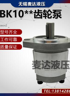 齿轮泵CBK1012 CBK1016 CBK1020 CBK1025-B1FR B1FL A1FR液压油泵