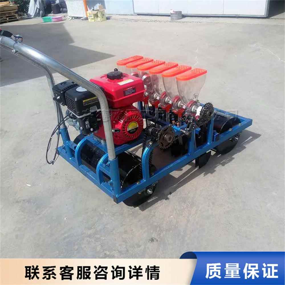 手推式小型蔬菜播种机 菜园蔬菜播种机 开沟撒种覆土一体工具