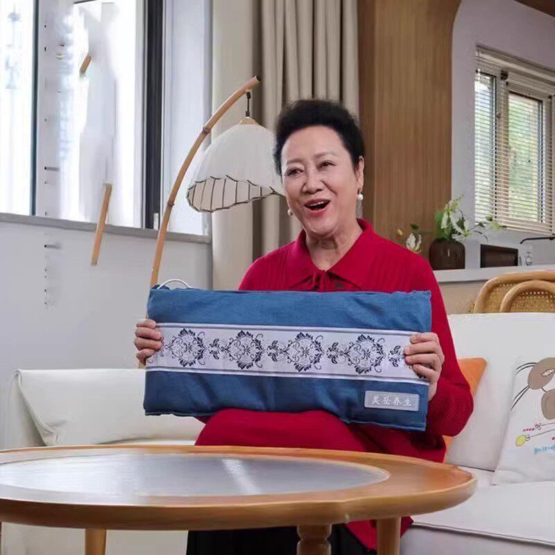 王丽云老师推荐昊岳养生海盐热敷包多功能电加热暖腰袋理疗艾草包