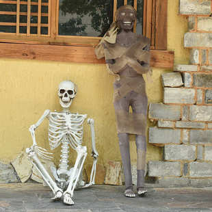 成人布置摆件仿真塑料165cm骨架万圣节密室酒吧道具装 饰鬼屋骷髅