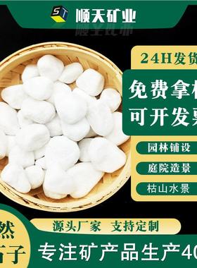 白色鹅白石厂家白卵米石枯水造景庭山院WPC铺设石子园艺用小石头