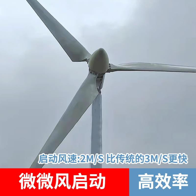 国电投10千瓦并网型永磁风力发电机系统水平轴碳中和