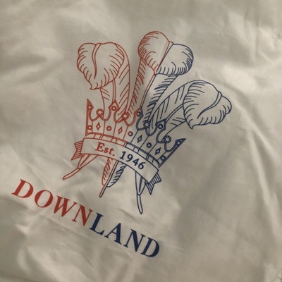 Downland羽绒被怎么样上手三天分享感受