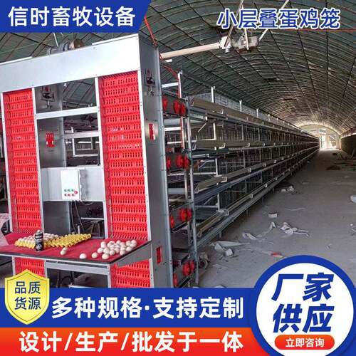 小层叠蛋鸡笼源头工厂鸡舍鸡场自动化养殖设备自动捡蛋清粪养鸡笼