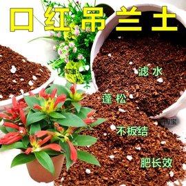 口红吊兰专用土兰花科通用型营养土绿植园艺有机土壤盆栽花土特配