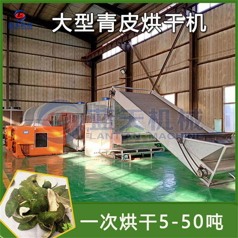 网带青皮烘干机 大型全自动青柑皮青皮子干燥机 青橘皮柑皮哄干机