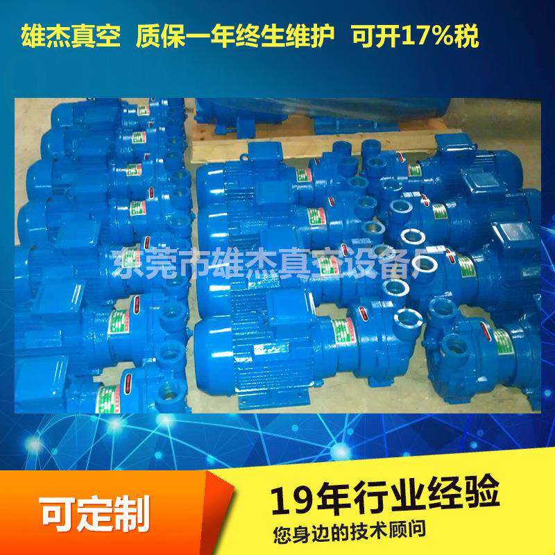 厂家直销 纸托模型用2BV5161水环真空泵 水循环真空泵含税价