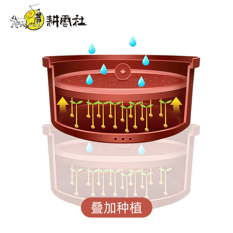 耕云社紫砂苗菜盆芽苗盆发苗菜育苗盘豆芽罐家用豆芽机无土栽培