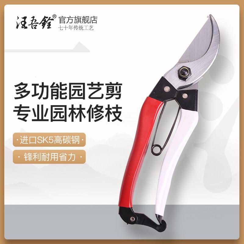 汪吾铨剪刀锋利sk5钢修枝剪粗叶园林园艺工具强力多功能果树剪刀