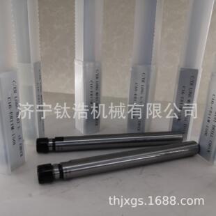 C20 延长杆C20侧固式 300851L侧固式 延长杆R格 250L 直销S0L