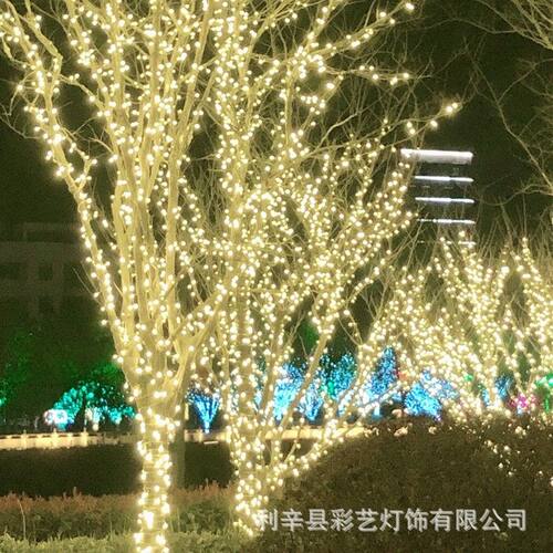 led灯串彩灯闪灯串装饰满天星草坪灯树挂户外防水梦幻灯光节