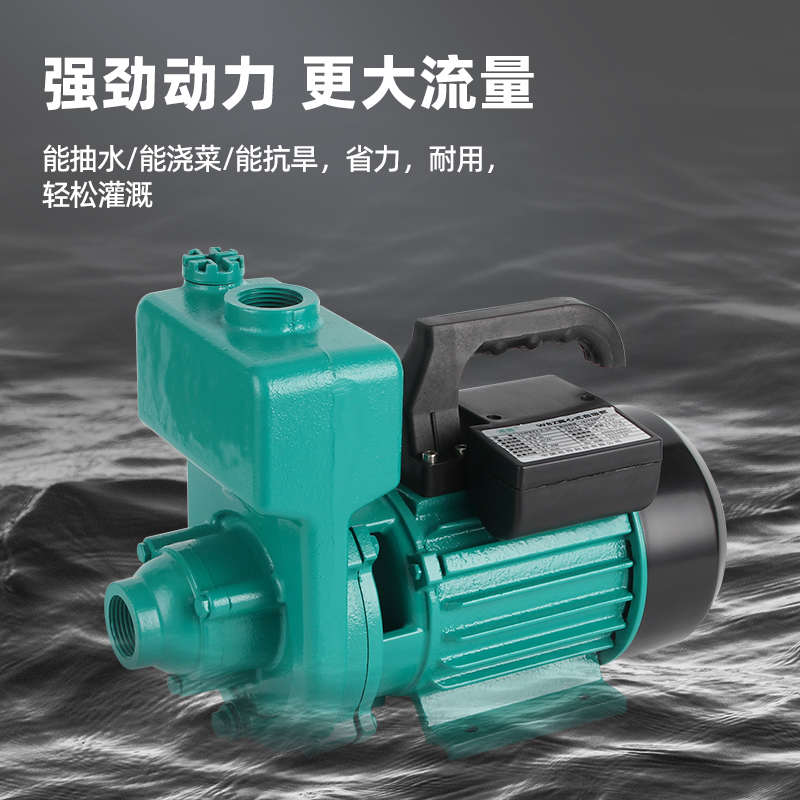 大流量污水自吸离心泵380v抽粪泥浆排污泵家用220v增压灌溉抽水泵