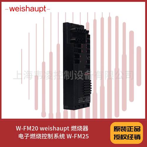 W-FM20燃烧器电子燃烧控制系统W-FM25