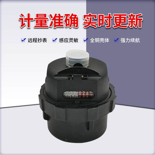 厂家直销LXH-15-20塑壳容积式水表 旋转活塞式水表高精度仪表