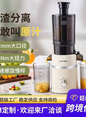 家用水果榨汁机果汁提取器果汁分离机全自动榨汁机榨汁分离原汁机