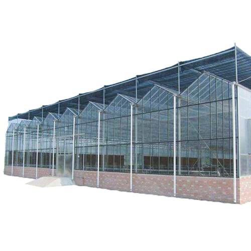 连栋玻璃温室大棚智能安装钢管骨架设计建造大型会议中心温室