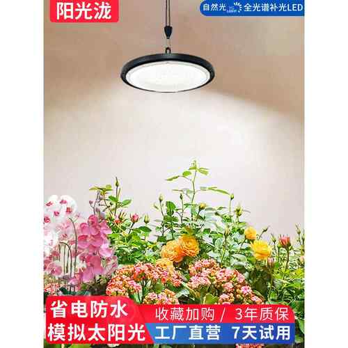 阳台太阳光模拟灯彷太阳全光谱灯室内热植兰花蔬菜植物生长补光灯