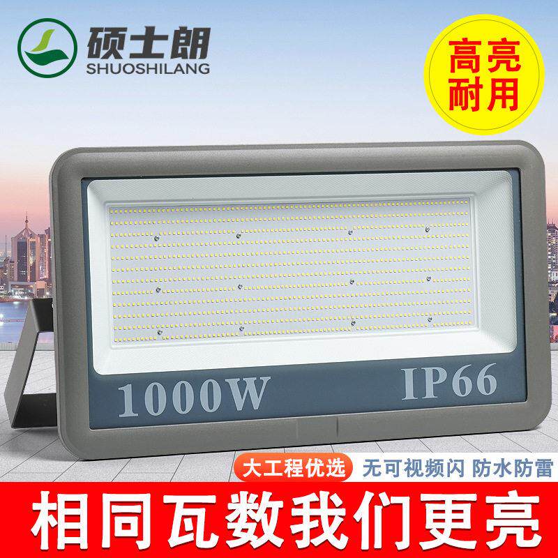 led投光灯宽压110v-220v户外杆照明灯超亮防水球场码头探照灯