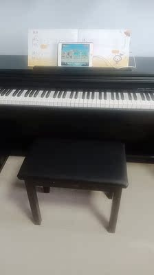 如何评价TheONE和卡西欧电钢琴比，应该选择谁呢？