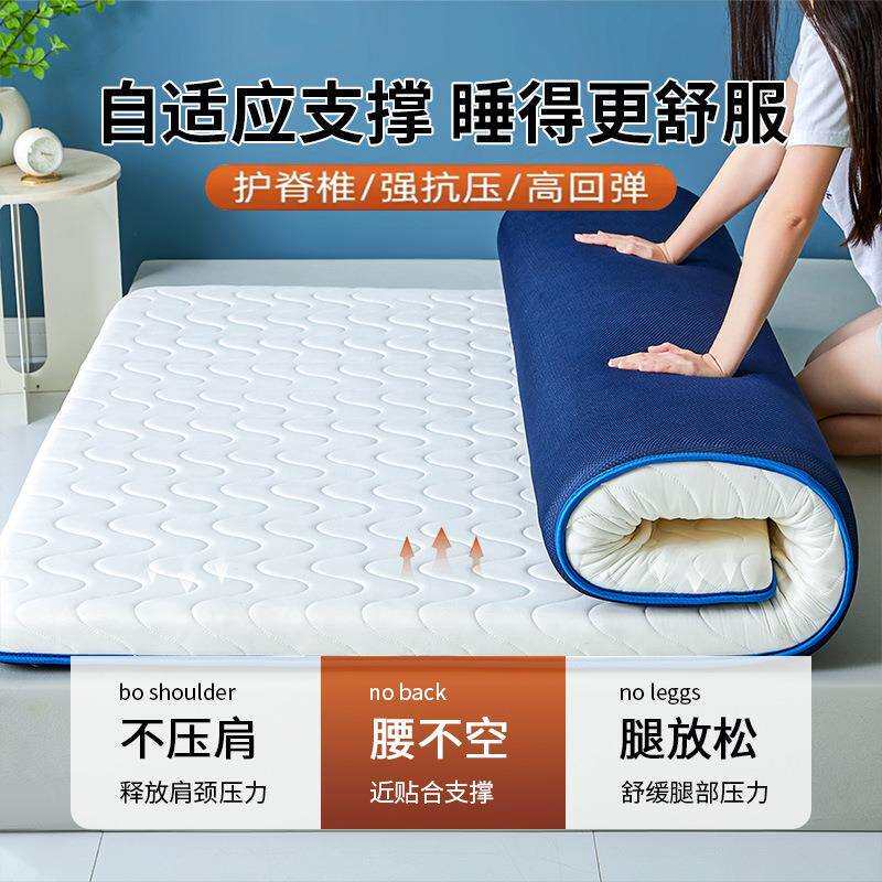 抗压床垫可回弹不塌陷硬质棉软垫家用榻榻米学生宿舍租房专用垫子