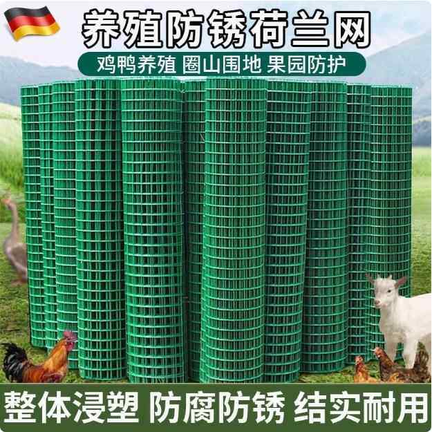 6厘米孔铁丝网绿色浸塑电焊网阳台防护网格鸡鸭鸽兔防逃养殖网