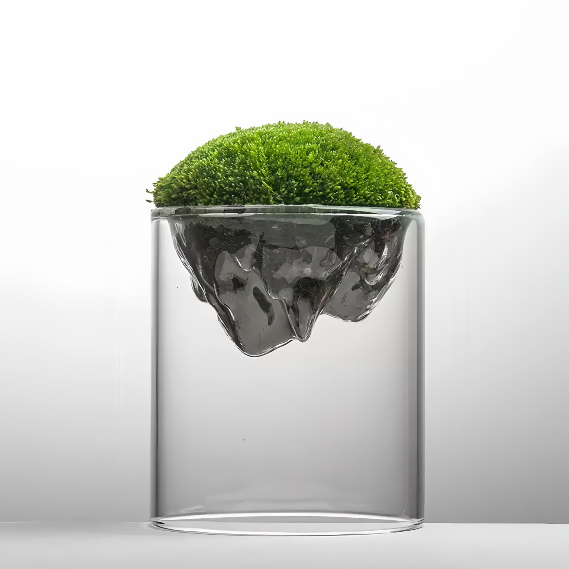 透明玻璃苔藓生态景观景观花瓶