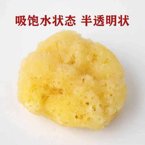 大号丑丑天然丝绒洗泥膜海绵洗脸洗澡去角质希腊天然海绵沐浴裕康