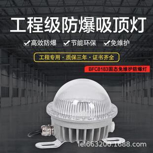 隧道泛光灯12V仓库220照明灯20WIP66三防灯 LED防爆灯DC24V吸顶式