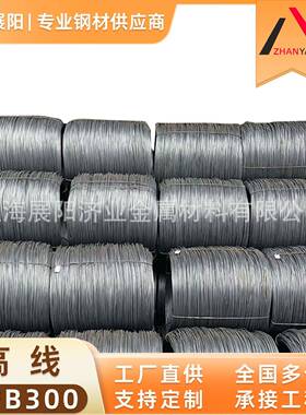 HPB00线材盘条6mm8mm10mm12mm14mm钢筋建筑材料热轧材质调直