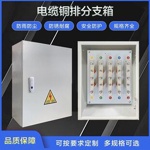 矿物电缆T接箱铜排分支接线 线端子分流箱bttrz国标等电位转接转
