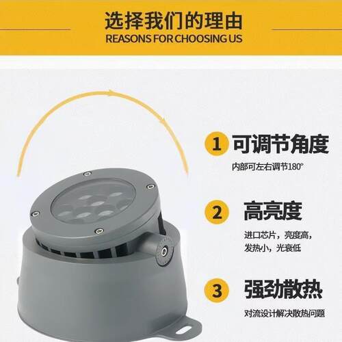 LMZMTL-TGD照树灯户外亮式化半埋地埋灯庭院观树桩景E灯防水花园