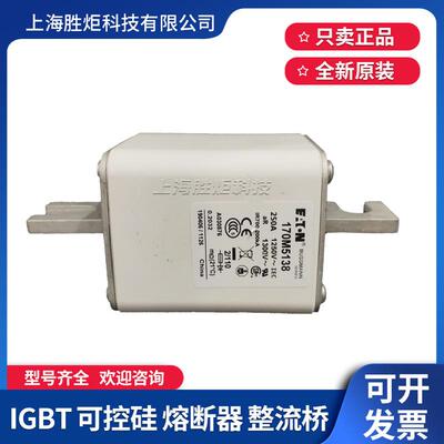 170M5138 5139 5140 5141 5142 5143 5144 5145 5146 5147熔断器
