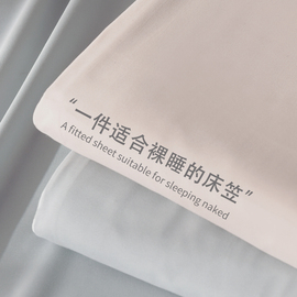 2024床笠单件水洗棉床罩床单席梦思床垫防尘保护罩套全包防滑